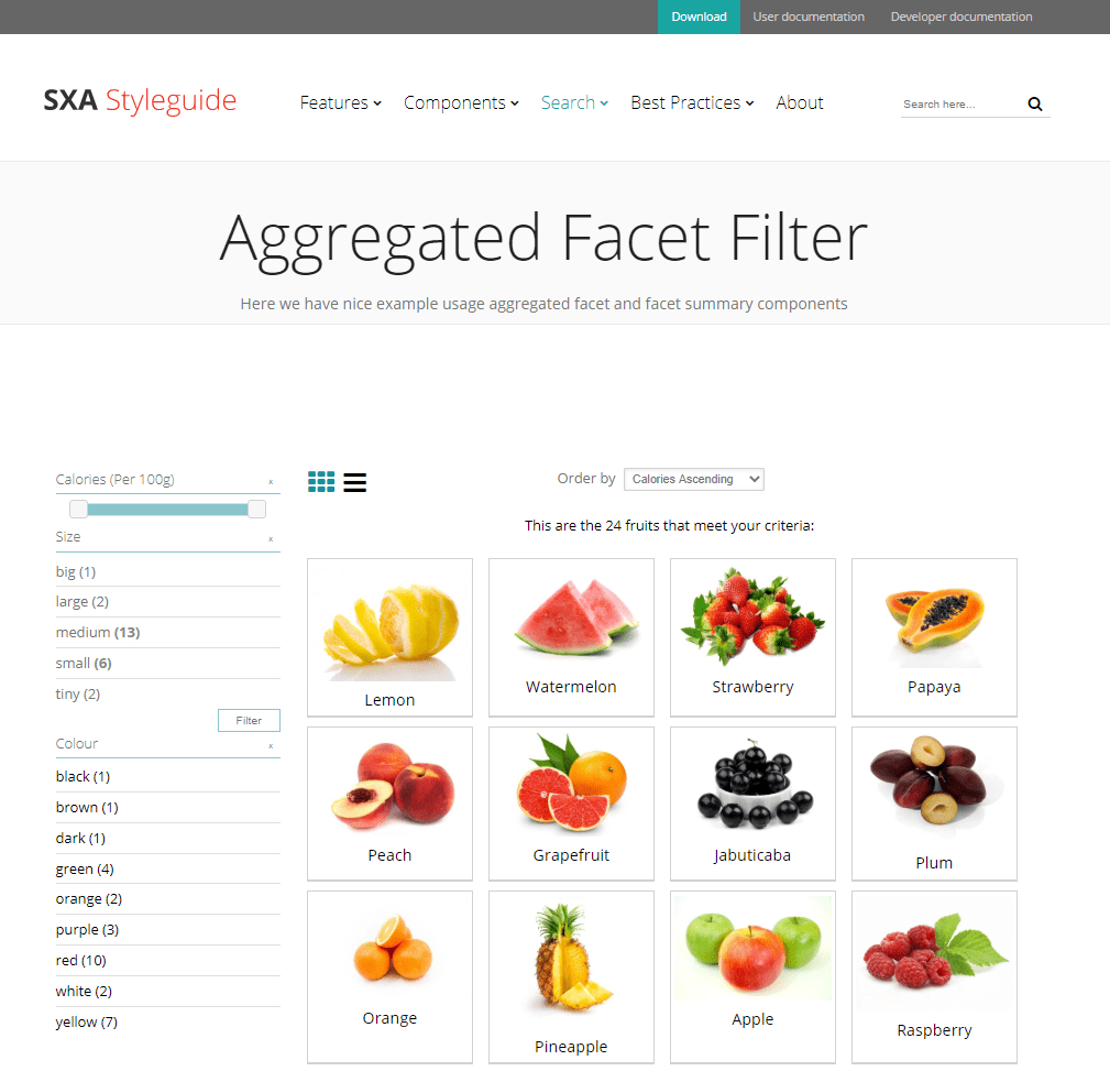 SXA 9.3: Introducing two new search features